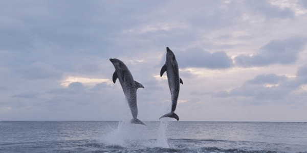 Odisha Places to visit