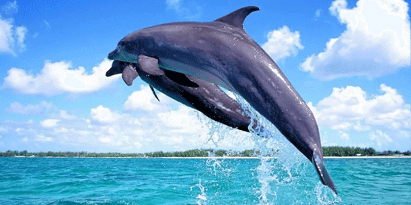 Diu Holiday Packages