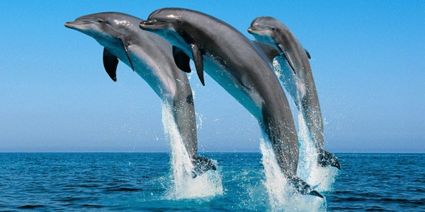 Assam Places to visit