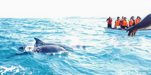 Maharashtra Tour Packages