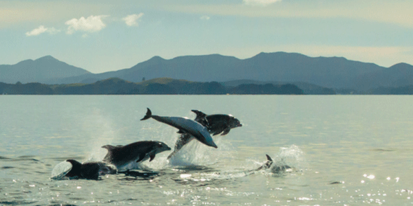 Karnataka Tour Packages