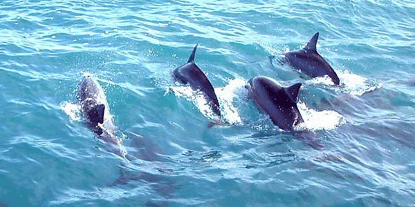 Uttar Pradesh Holiday Packages