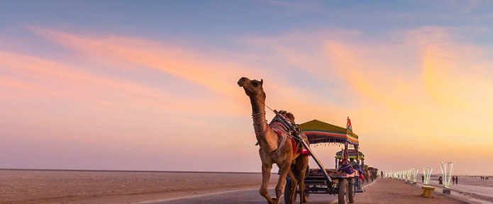 Kutch Nahi Dekha Toh Kuch Nahi Dekha: Top Places to Visit