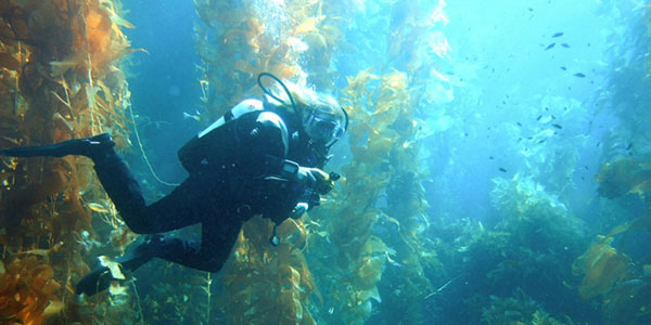 Pondicherry Tour Packages