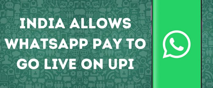 Unlocking the Future – Newsletter by Flamingo Consultancy Group