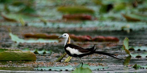 India Holiday Packages 