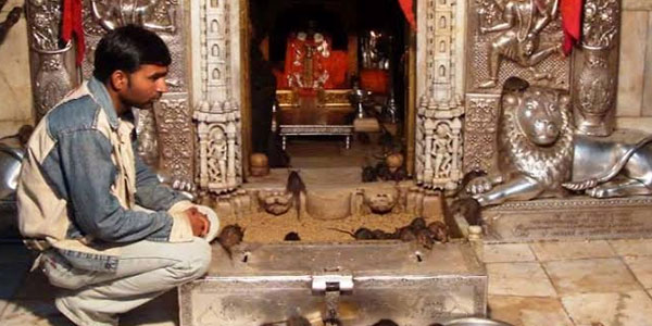 India Holiday Packages