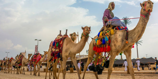 Best Time to Visit Rajasthan