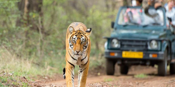 Rajasthan Tour Packages