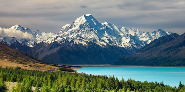 New Zealand Tour Packages 
