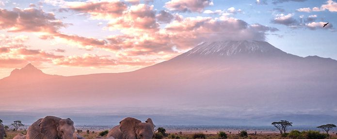 Traveling to Kenya? Don’t miss out on these activities