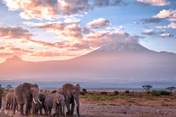 Traveling to Kenya? Don’t miss out on these activities