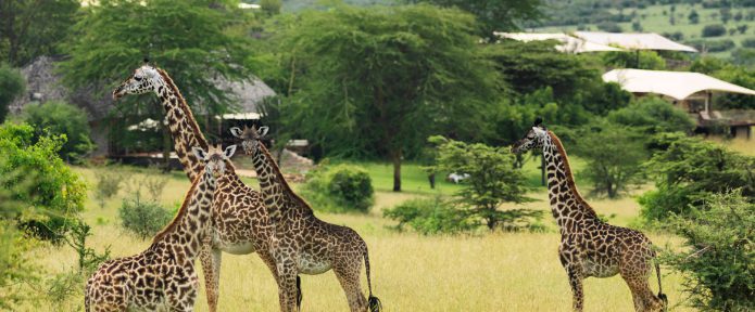7 Places in Kenya Making It a Beautiful Country!