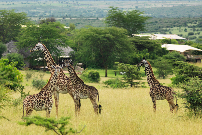 7 Places in Kenya Making It a Beautiful Country!