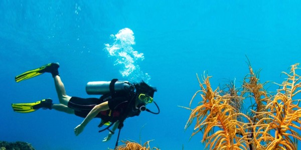 Sri Lanka Tour Packages