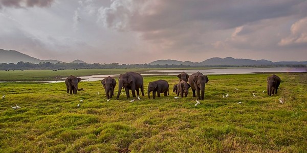 Sri Lanka Tours