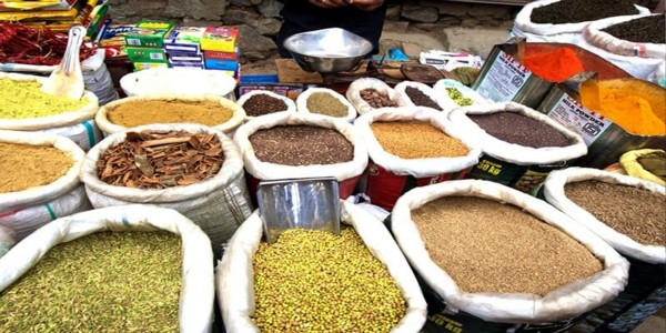 Kerala Tour Packages