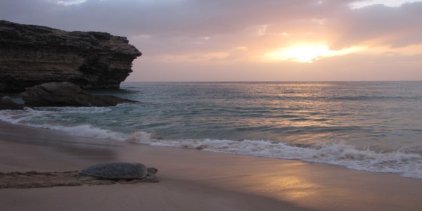 Oman Holiday Packages