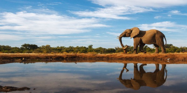 Botswana Tour Packages