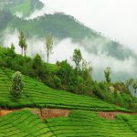 Re-live history with Neemrana Heritage Hotels in India