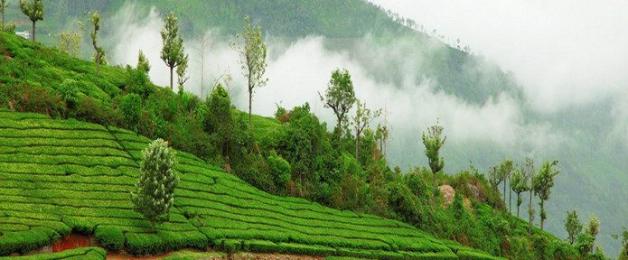 Re-live history with Neemrana Heritage Hotels in India