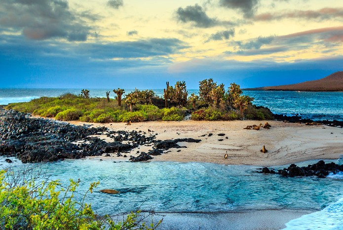 8 Popular Places to Visit in South America in 2025-26!