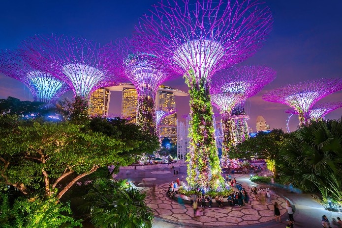 Gardens By The Bay In Singapore | Flamingo Transworld