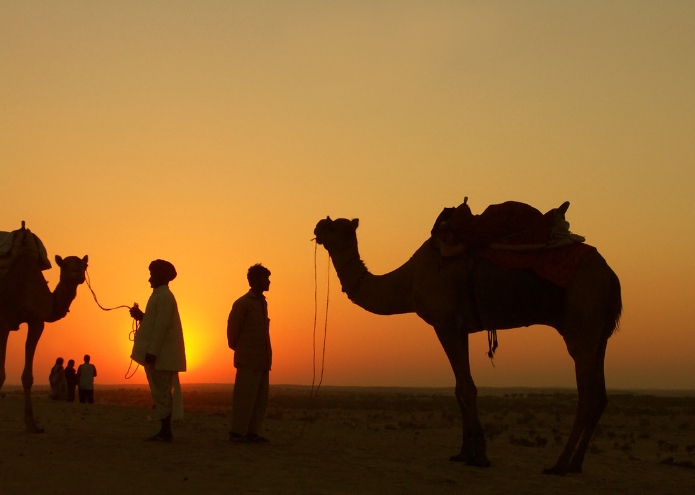 A Journey to The Golden Dunes