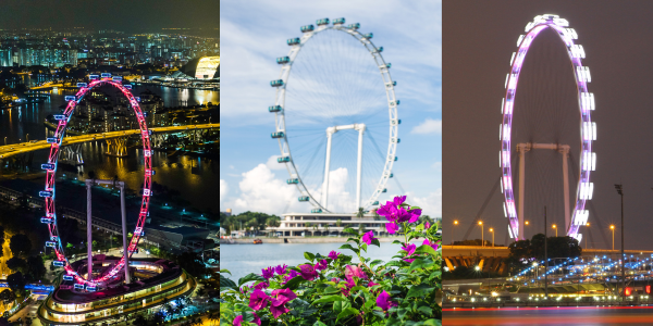 About Singapore FLyer
