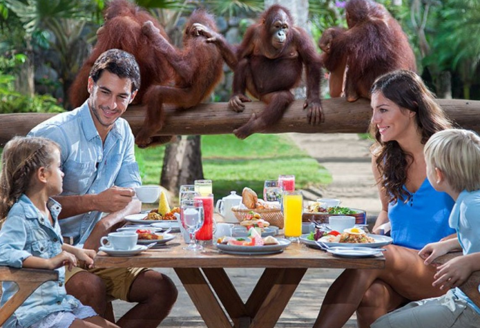 Fun Activities for Families and Kids