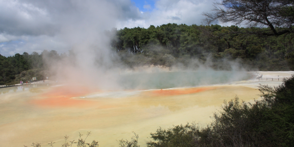 New Zealand rotorua