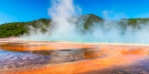 New Zealand tourist place rotorua