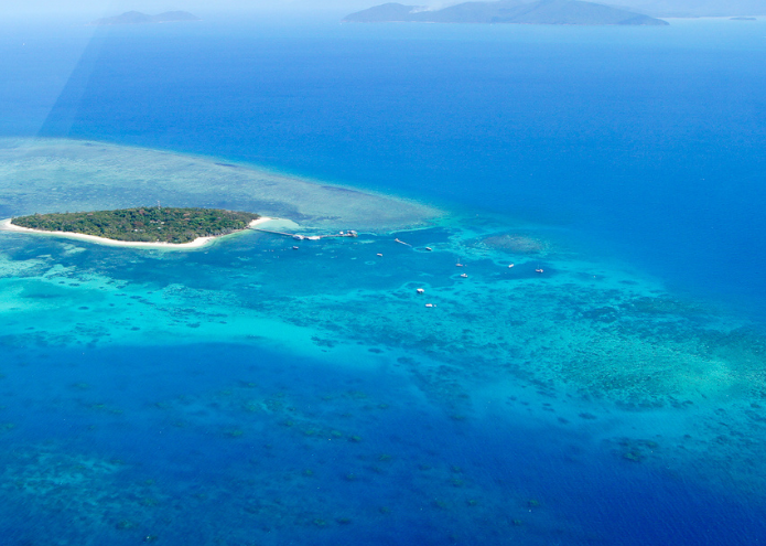 An Insider’s Guide To The Great Barrier Reef In Australia!