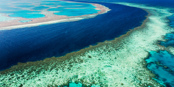 barrier reef australia