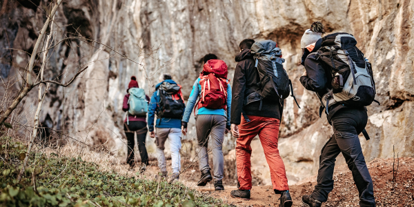 flamingo group tours