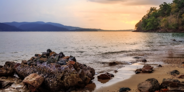 Chidiya Tapu andaman