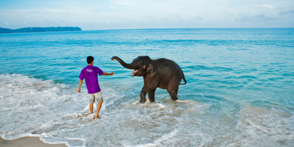 Elephant Beach andaman