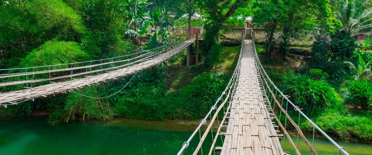 Bamboo Hanging Bridge in Bohol