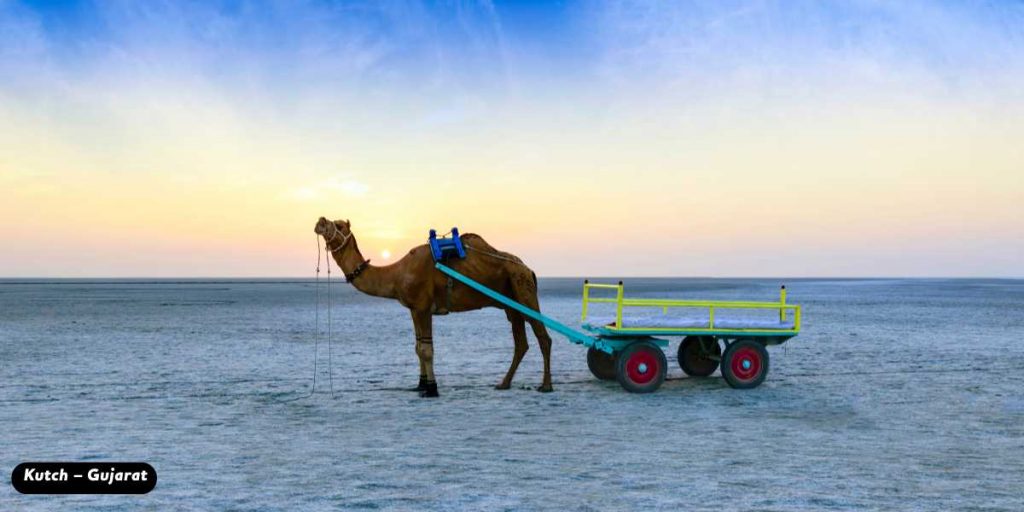 Kutch – Gujarat