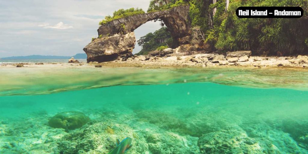 Neil Island – Andaman