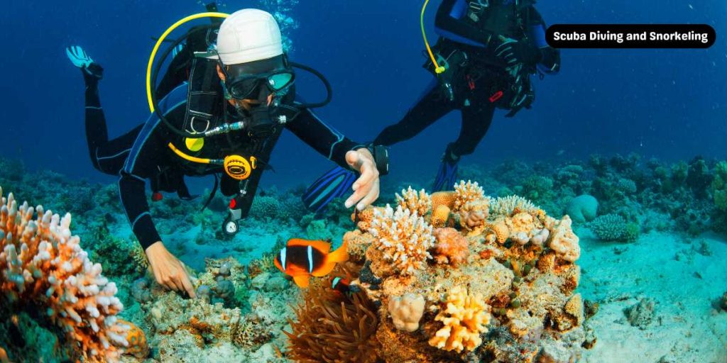 Scuba Diving and Snorkeling