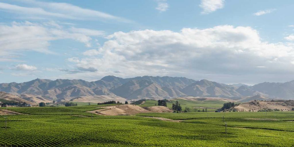 North Canterbury Wine Regions