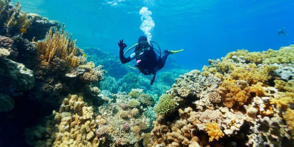 Scuba Diving Lakshadweep