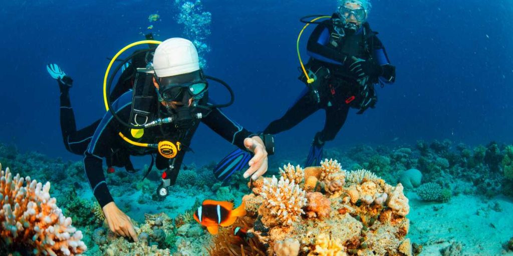 Scuba Diving Lakshadweep Underwater