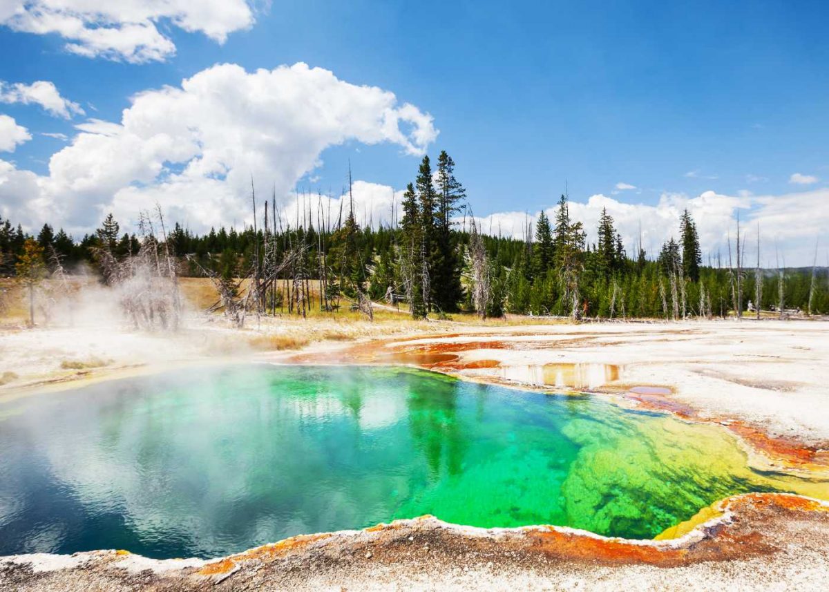 Yellowstone National Park 2026: The Ultimate Road Trip Destination!