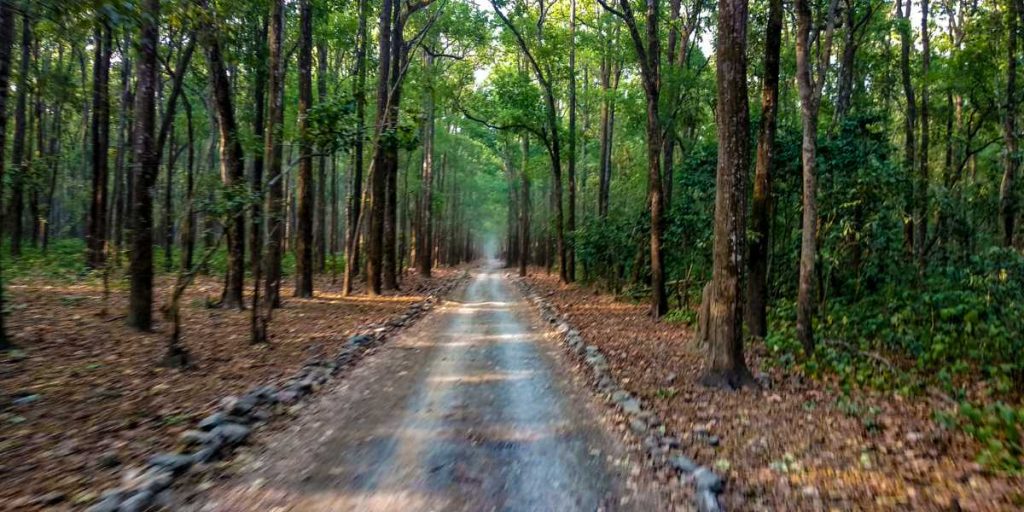 Jim Corbett National park- Tiger Reserve