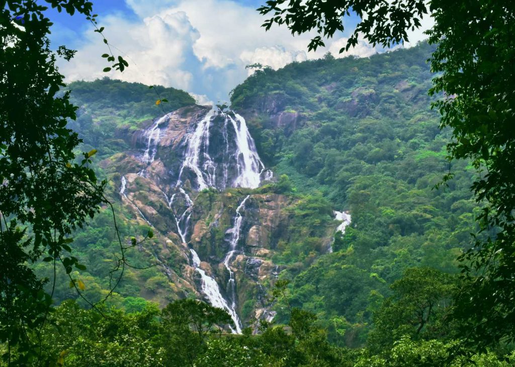 The 7 Best Waterfalls In India You Can’t-Miss In 2025!