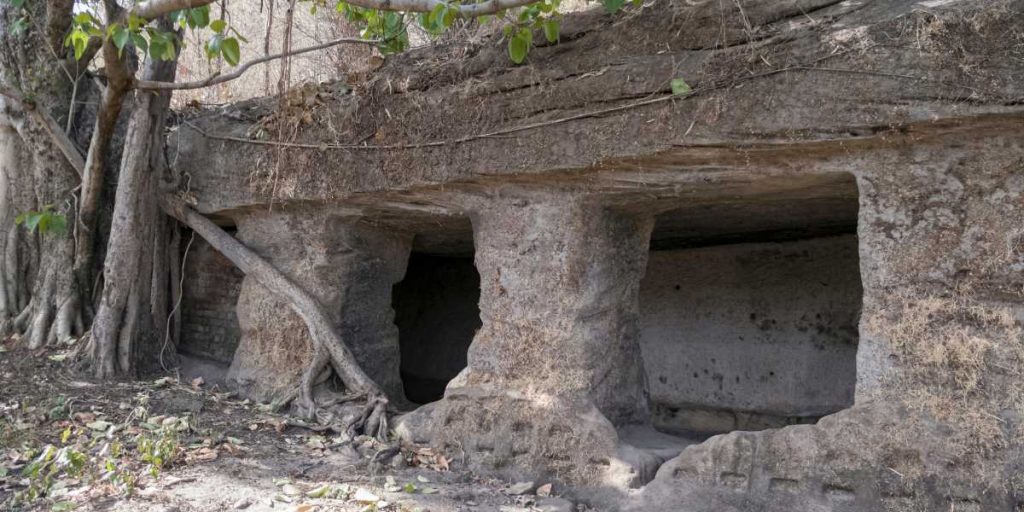 Bandhavgarh National Park, Madhya Pradesh