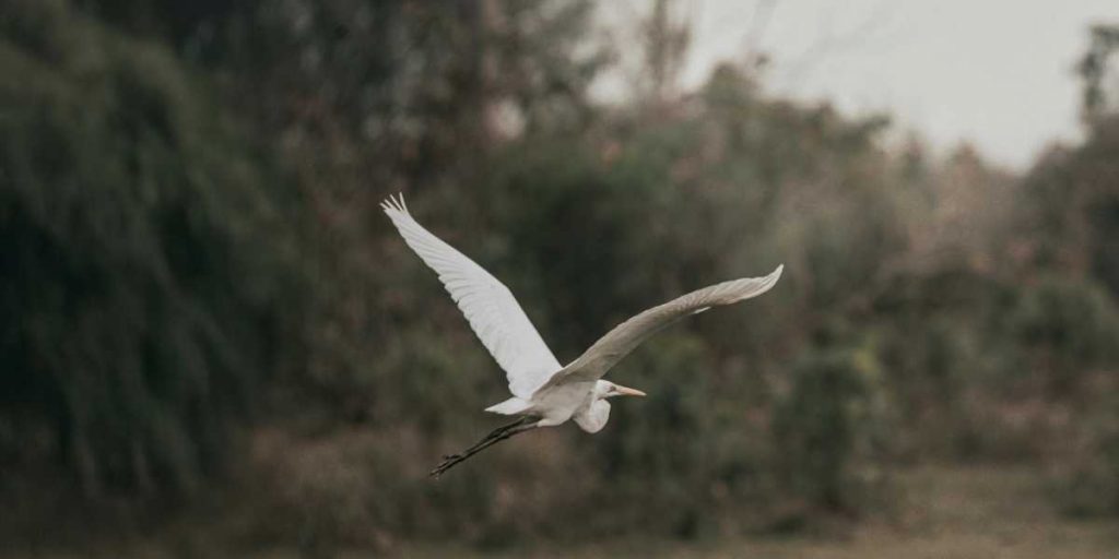 national parks in India