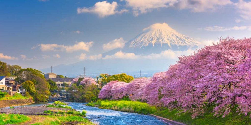 7 Day Japan Itinerary From India 2026 Flamingo Travels